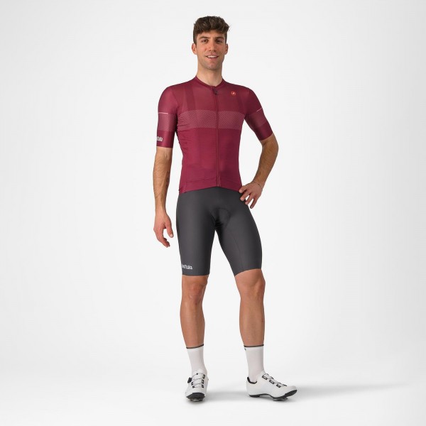 Abbigliamento Uomo Maglia Trofeo Giro d'Italia 2024 - Bordeaux
