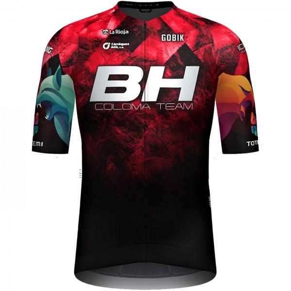 Abbigliamento uomo Maglia a maniche lunghe Team DSM Firmenich Postnl 2024