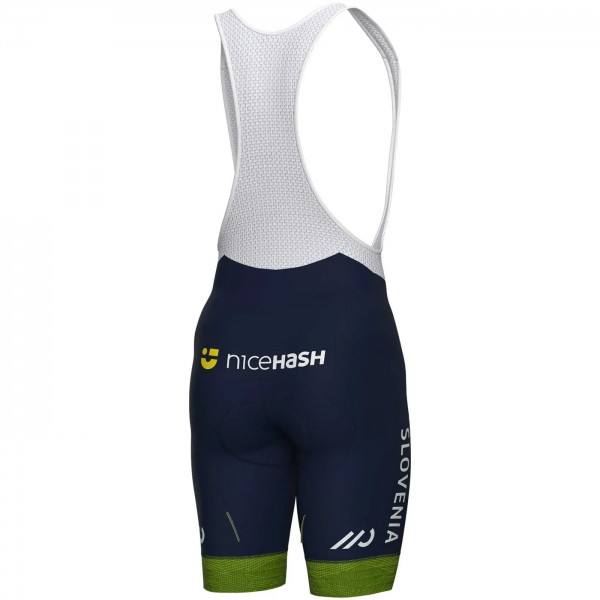 Abbigliamento uomo Nazionale slovena Pantaloncini corti Ale 2024