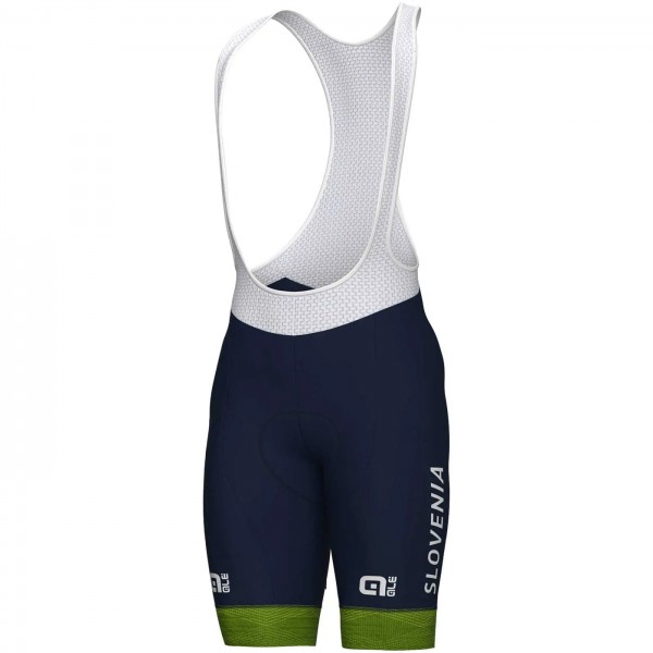 Abbigliamento uomo Nazionale slovena Pantaloncini corti Ale 2024