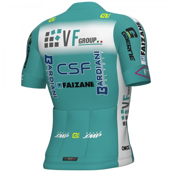 Maglia Ale VF Group-Bardiani CSF-Faizane 2025 PRS 2.0 da uomo