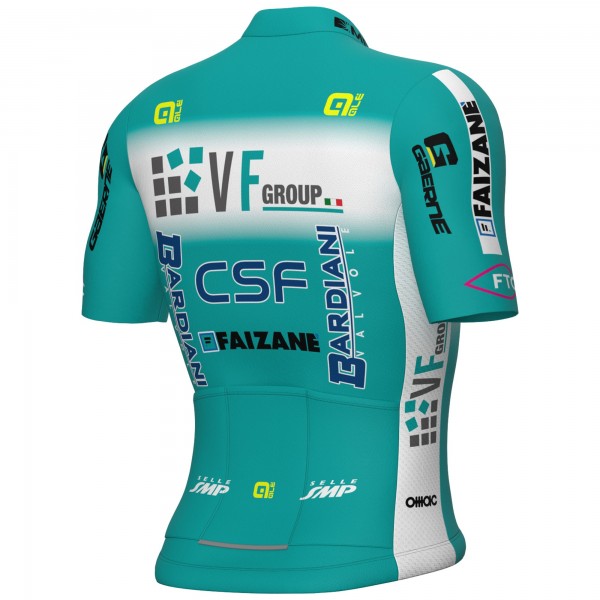Maglia Ale VF Group-Bardiani CSF-Faizane 2025 da uomo Maglia Ale VF Group-Bardiani CSF-Faizane 2025 da uomo
