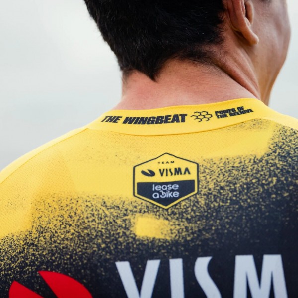 Abbigliamento Uomo Maglia Team Visma Lease a Bike 2025 The Wingbeat