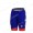 FDJ Pro Team 2021 Salopette Ciclismo pantaloncini s5MGx