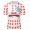 Polka Dot UAE Emirates Tour De France 2021 Maglia Ciclismo Manica Corta DVke2