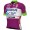 Maglia ciclismo BARDIANI CSF FAIZANE' 2022 manica corta (zip lunga) - ALE Professional Cycling Team