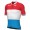 Maglia da ciclismo a manica corta campione del Lussemburgo GROUPAMA-FDJ 2022-ALE Squadra di ciclismo professionale